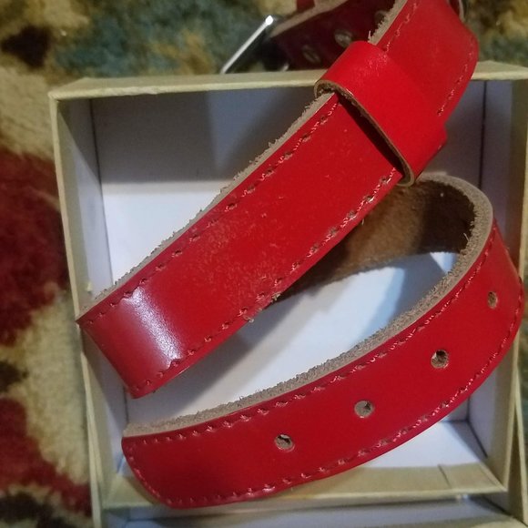 New Trevano Genuine Leather Dog Collar with Alloy Buckle - Picture 3 of 5